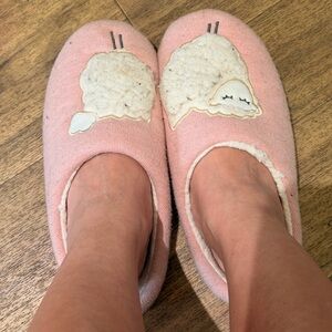 pink Well Worn Slippers